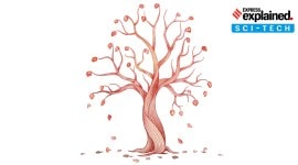 Explained Sci-Tech, Social media, Social media platforms, artificial intelligence, Metaverse, 5G services, Explained, Indian Express Explained, Opinion, Current Affairs