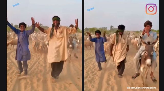 Pastoralists from Rajasthan dance, sheep rearers Bollywood dance, viral dance videos from Rajasthan, Instagram viral dance, Hum Kisi Se Kam Nahin songs, indian express