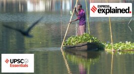 river this quote means