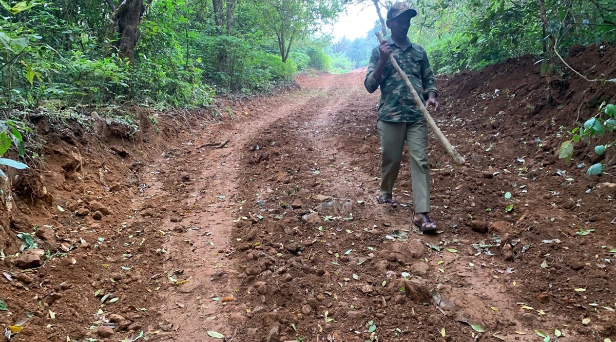 Last month, the National Tiger Conservation Authority (NTCA) officials found that nine homestays/lodges/resorts were illegally functioning within the enclosure of BRT Tiger Reserve in Karnataka. (Express Photo)