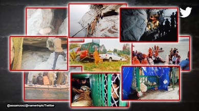 assam zoo, tiger rescue from brahmaputra river, tiger rescue video, tiger rescue, indian express