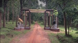 tiger reserve no alt set