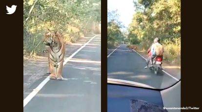 Salman Khan shares a video as he takes an 'iconic walk' while shooting for  Tiger 3