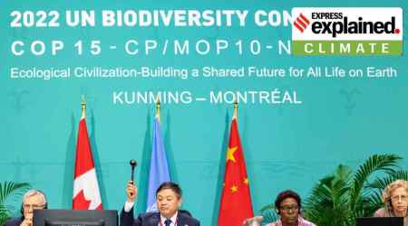 The president of the UN-backed COP15 biodiversity conference, China's Minister of Ecology and Environment Huang Runqiu, lowers the gavel to pass The Kunming-Montreal Global Biodiversity Framework in Montreal, Quebec, Canada December 19, 2022. (Julian Haber/UN Biodiversity/Handout via Reuters)