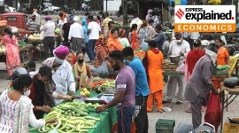 inflation, latest inflation data, inflation falls, RBI, will RBI raise interest rates, express explained, indian express