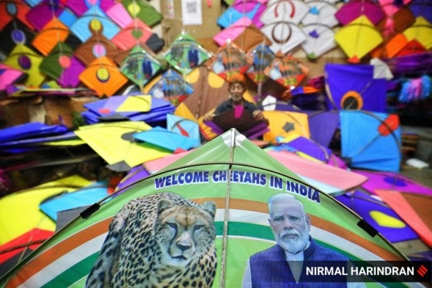 Kite flying Ahmedabad
