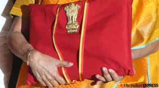 Budget signal from states for FM: Capital spending gets boost