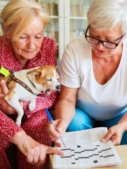 Self Care Tips For Senior Citizens This Winters The Indian Express