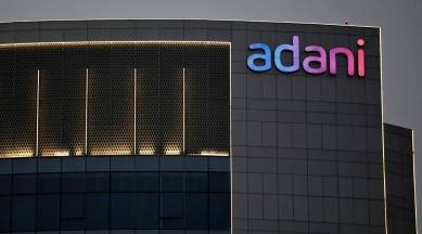 Adani group shares fall