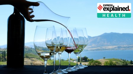 Wine is poured into glasses at a vineyard in Penticton, BC, Canada.