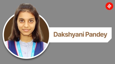 Dakshyani Pandey, Stanford university, scholarships