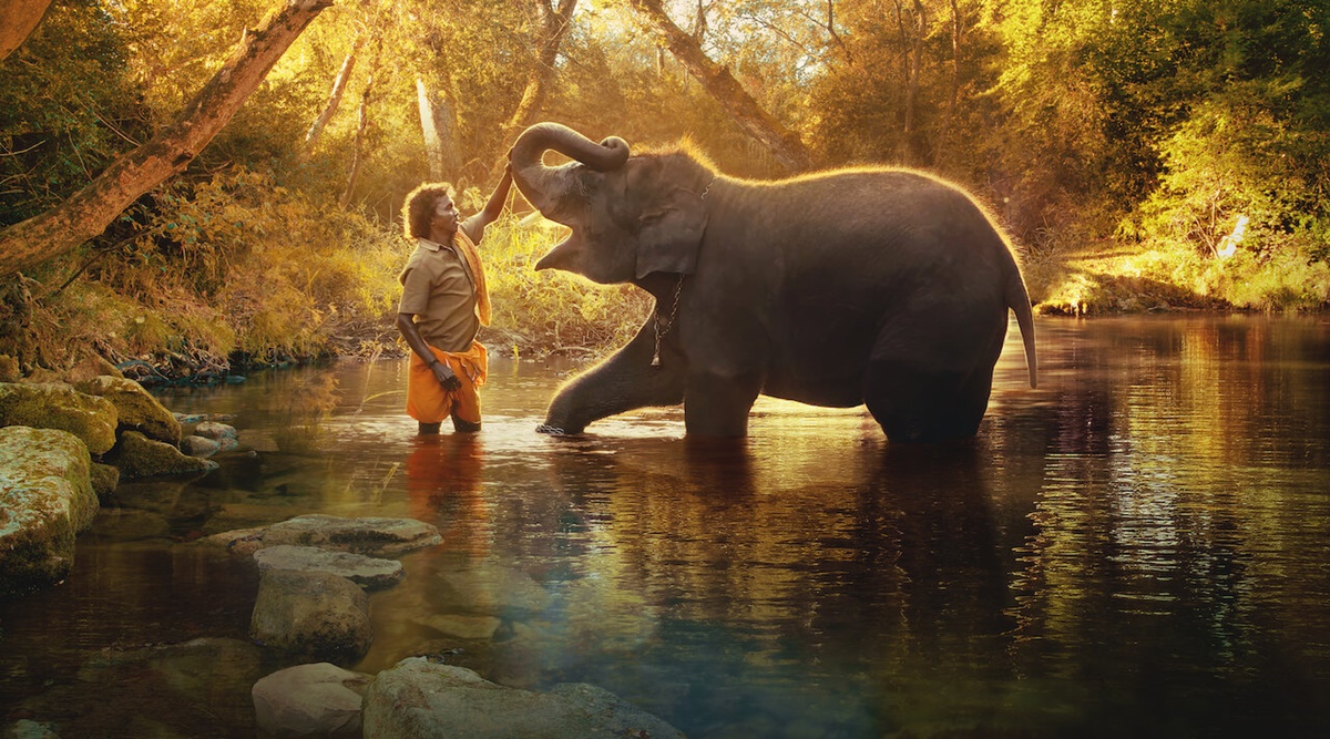 The Elephant Whisperers scores Oscar nomination in Best Documentary