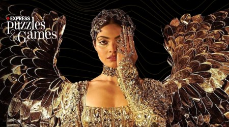 miss universe 2023 national costume round india golden bird