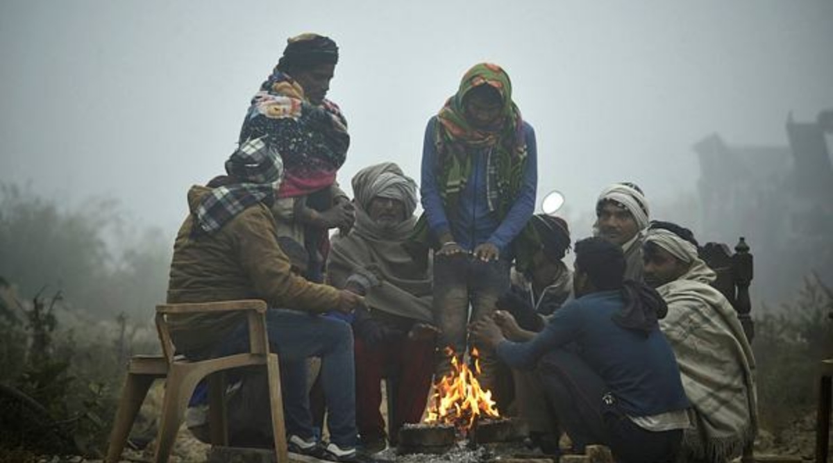 Haryana reels under cold waves but weather beneficial for crops, say