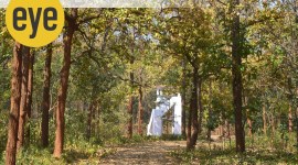 Hazaribagh was once famed as the land of a thousand tigers. (Source: Mihir Vatsa)