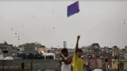 Ban on kite strings: HC asks state to explain steps taken