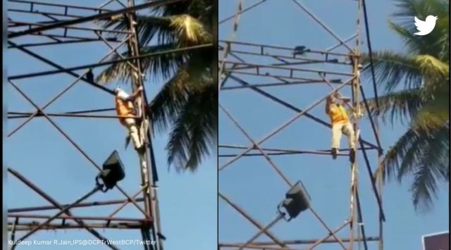 cop saves pigeon, Bengaluru police officer climbs hoarding, Bengaluru police officer saves pigeon, Rajaji Nagar, police saves pigeon, indian express