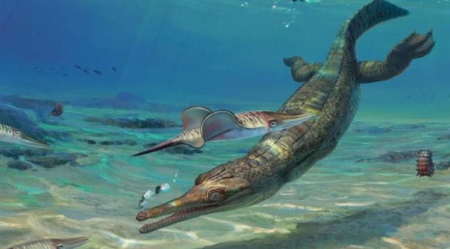 ancient marine crocodile