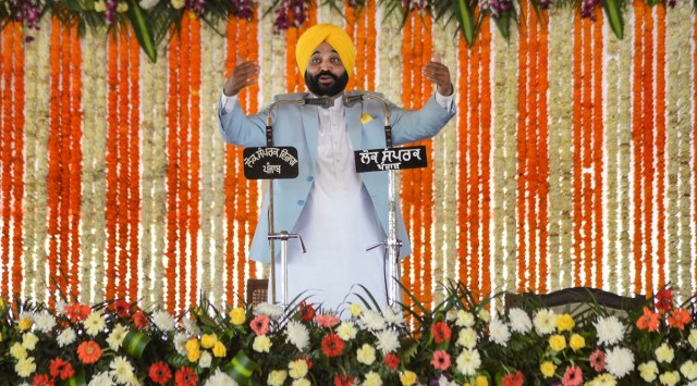 Punjab Chief Minister Bhagwant Mann (PTI, file)