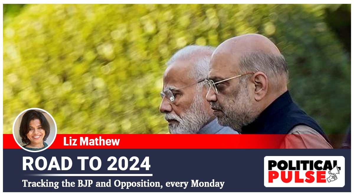 Road To 2024 From Govt To Party There Could Be Changes As BJP Hits   PTI12 29 2022 000268A 