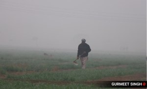 dense fog