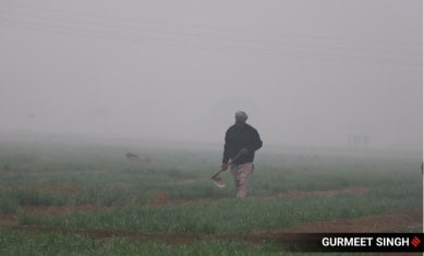 dense fog