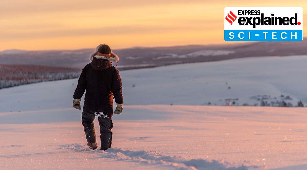 rare earth elements, Sweden