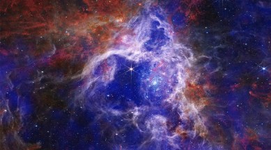Tarantula nebula, james webb space telescope, chandra x-ray observatory