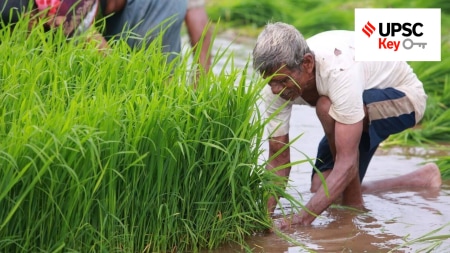 UPSC key terms, upsc news, upsc syllabus, UPSC KEY, Upsc Key terms, IAS current affairs, upsc Key Indian express, The Indian Express current Affairs, Is Indian Express Good for UPSC, upsc today news, upsc newspaper, Indian express today important news for upsc, Indian express monthly current affairs, What should I read in Indian Express for UPSC today, UPSC Answer Key, UPSC Online, IAS, IPS, upsc current affairs news, UPSC KEY News, UPSC Civil services news, UPSC Prelims 2023, UPSC Mains 2023, UPSC Mains 2023, UPSC Mains 2024, UPSC Prelims 2024