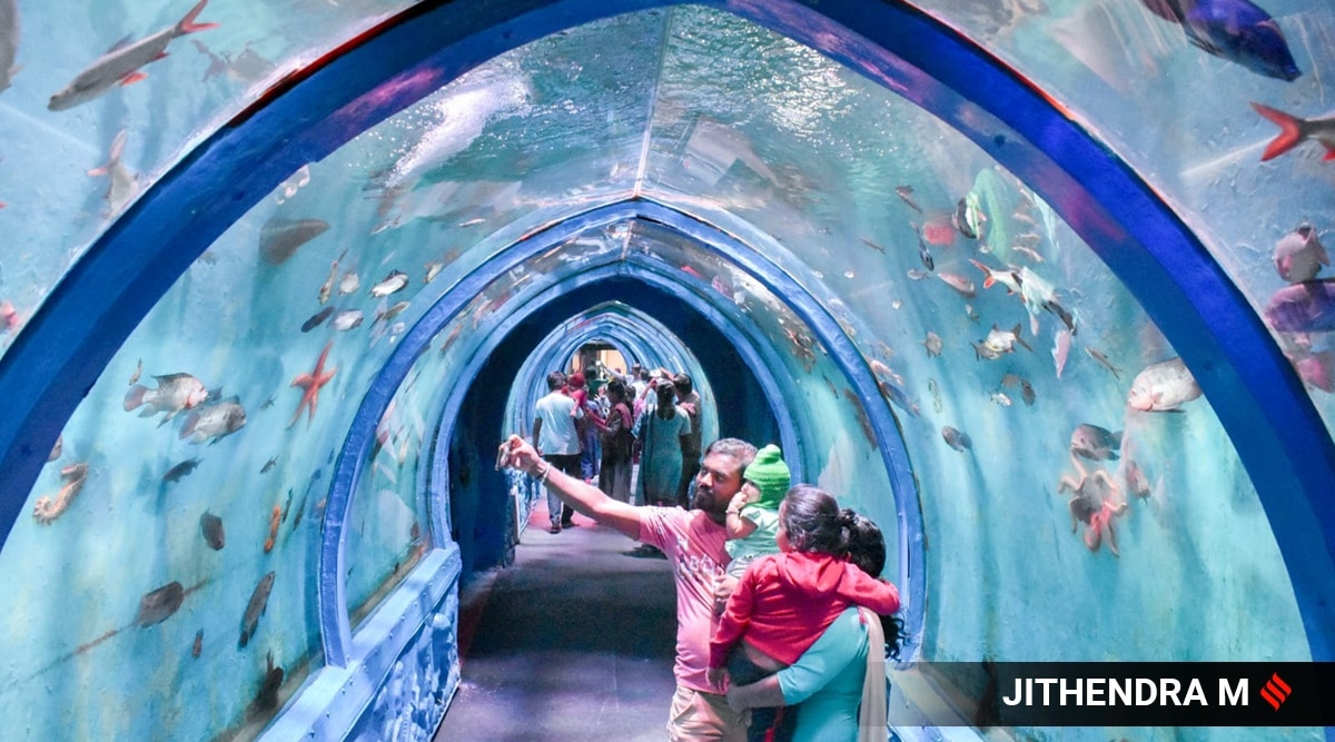In pictures The Sea Tunnel Aquarium in Bengaluru offers stunning 360