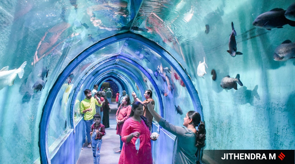 In pictures: The Sea Tunnel Aquarium in Bengaluru offers stunning 360  degree views of exotic marine life