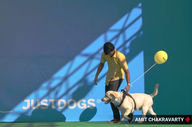 pet, pet fed, pets and animals, pet carnival, mumbai, goregaon, india, indian express