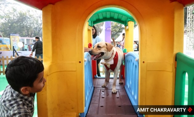 pet, pet fed, pets and animals, pet carnival, mumbai, goregaon, india, indian express