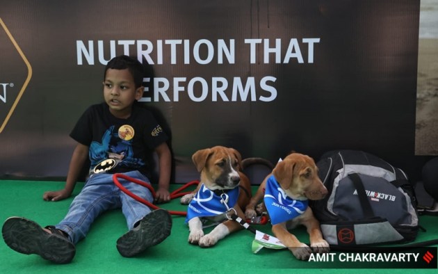 pet, pet fed, pets and animals, pet carnival, mumbai, goregaon, india, indian express
