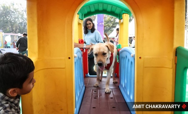 pet, pet fed, pets and animals, pet carnival, mumbai, goregaon, india, indian express