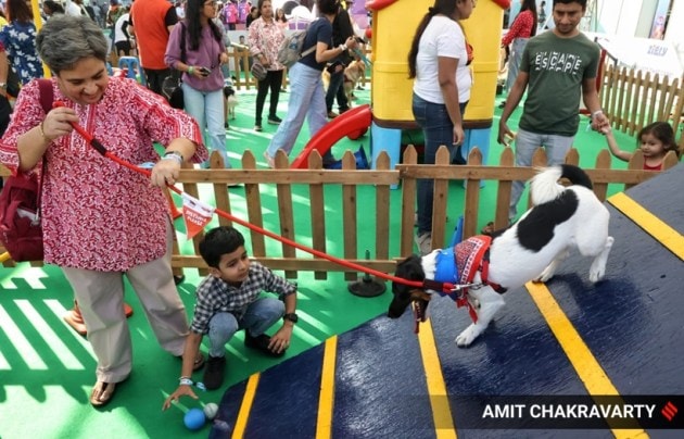 pet, pet fed, pets and animals, pet carnival, mumbai, goregaon, india, indian express