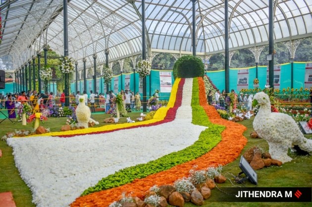 Rare flowers from different parts of the world are part of the show. (Express photo by Jithendra M)