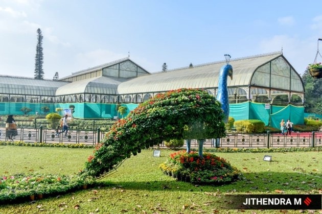 The show opens at 7 am. (Express photo by Jithendra M)