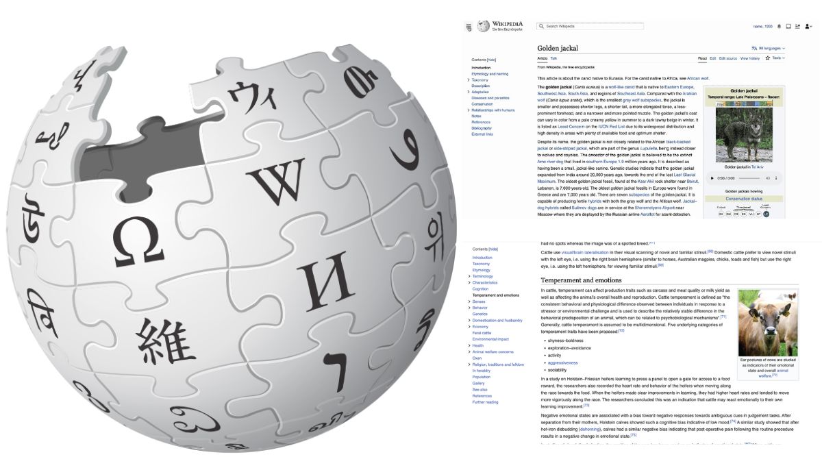Wikipedia logo