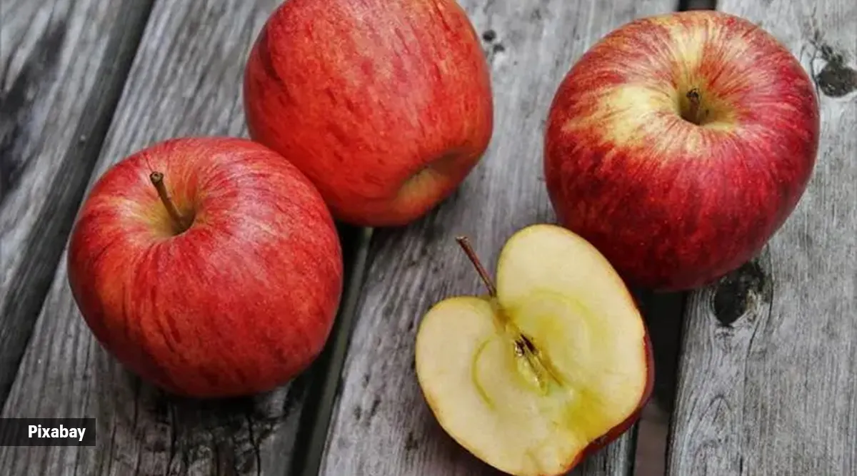 Those who eat organic apples, core and all, get 10 times the bacteria