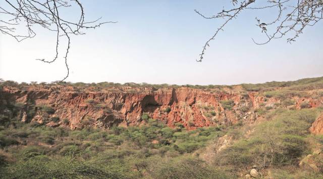 Last year, a report of a joint committee formed on the order of the National Green Tribunal (NGT) had found instances of illegal mining activity in the Aravallis in Haryana.(File)