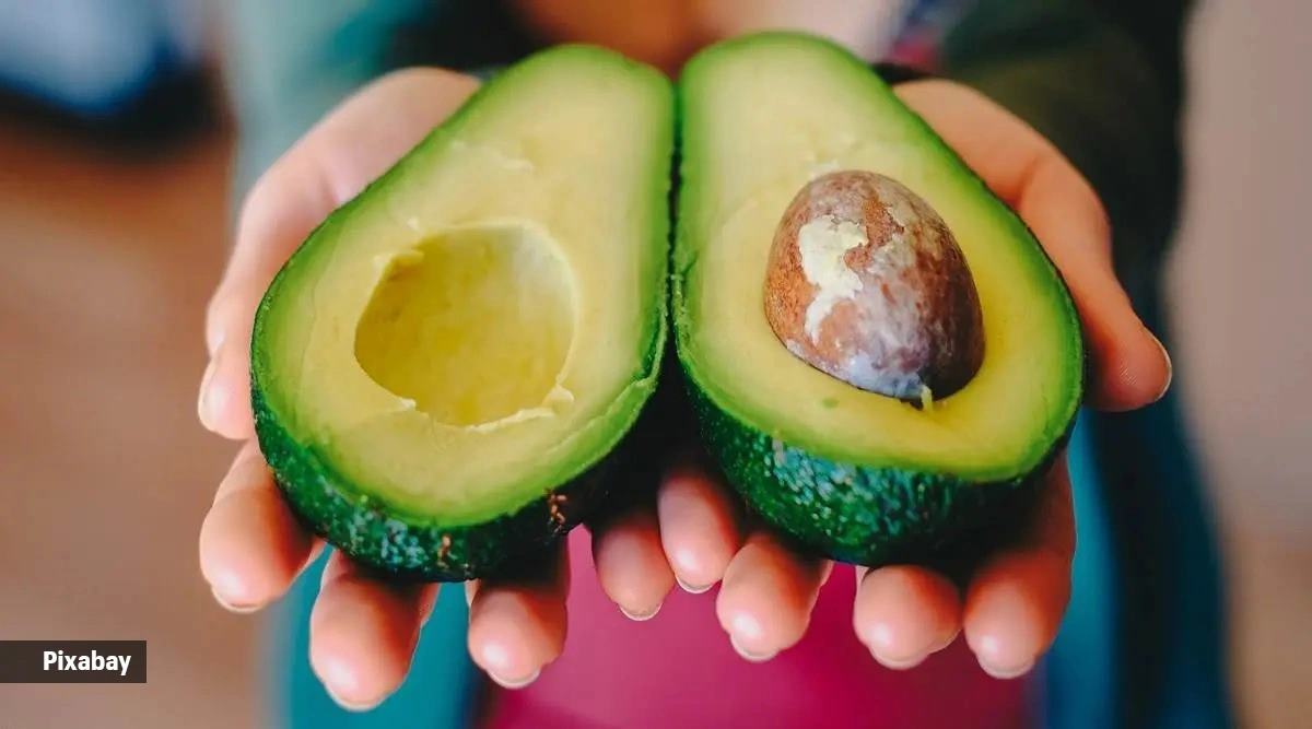 Study confirms why avocados reduce LDL cholesterol, prevent heart disease - The Indian Express