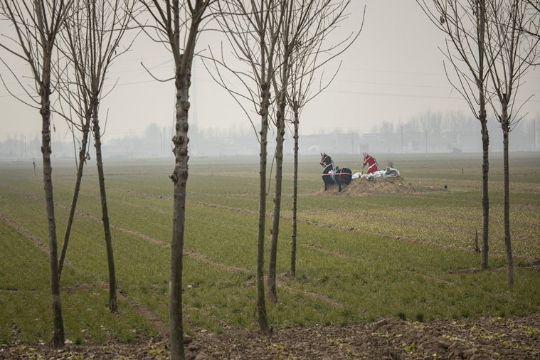 china rural covid latest news today