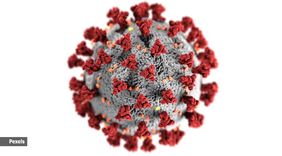 COVID-19 virus