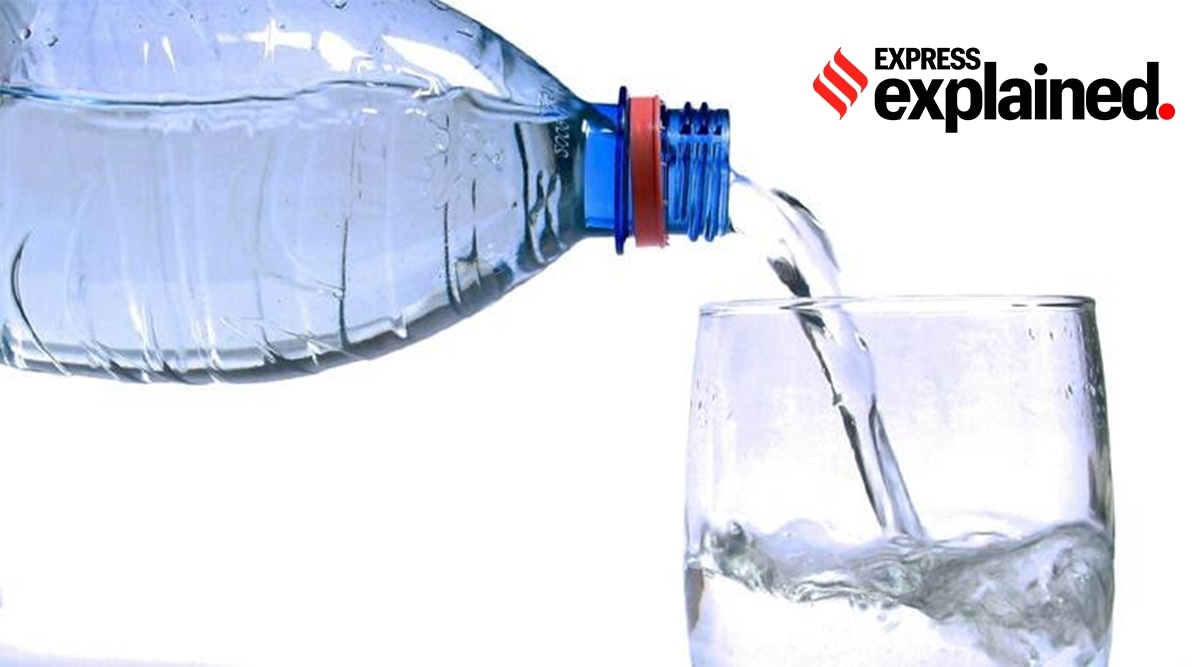 Microplastics have inundated the world, finding their way into the human food chain. (Representational/File)