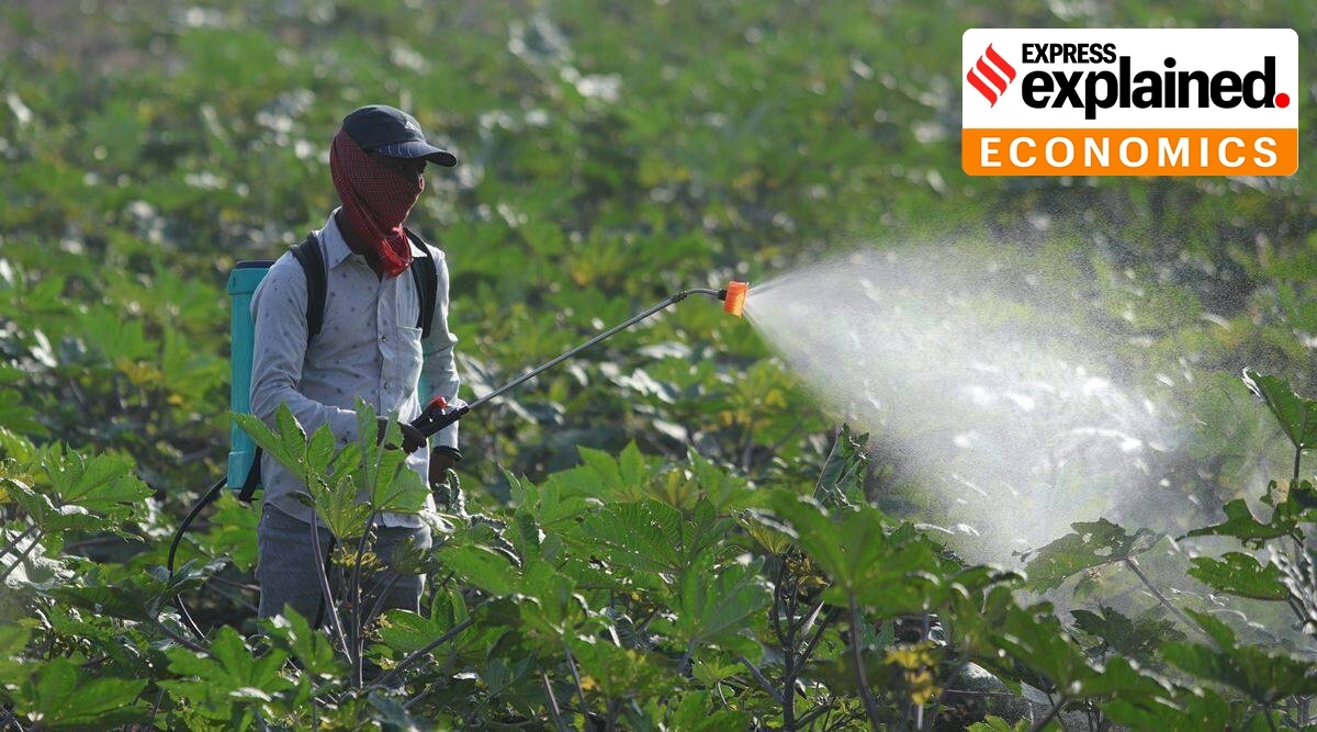 Non-urea fertiliser prices have technically been decontrolled under the NBS regime. (File Photo)