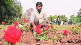 unsung heroes news, indian express, news, latest news, india news