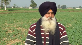 punjab farmers, millet news, indian express
