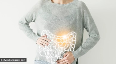 gut bacteria