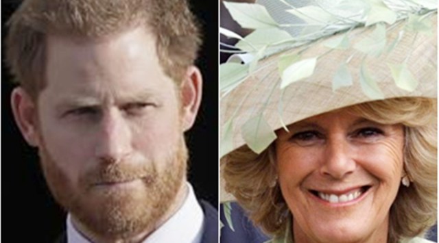prince harry and camilla